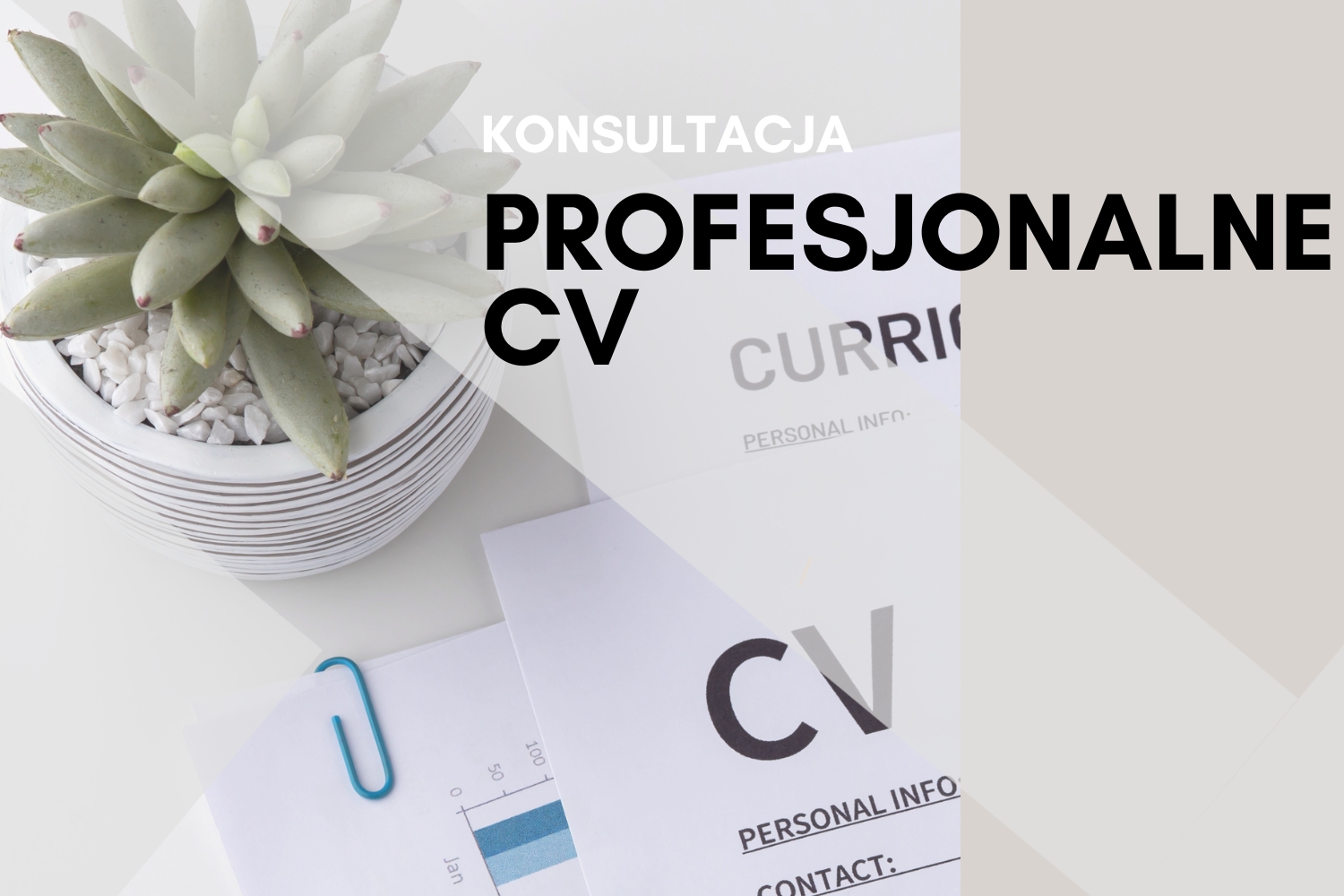 Konsultacja profesjonalne CV - pomoc w tworzeniu skutecznego curriculum vitae